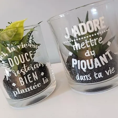 Une Parenthese Agreable Ou Il Fait Bon Vivre ! *